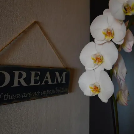 아파트 Tony 55m2 오파티아